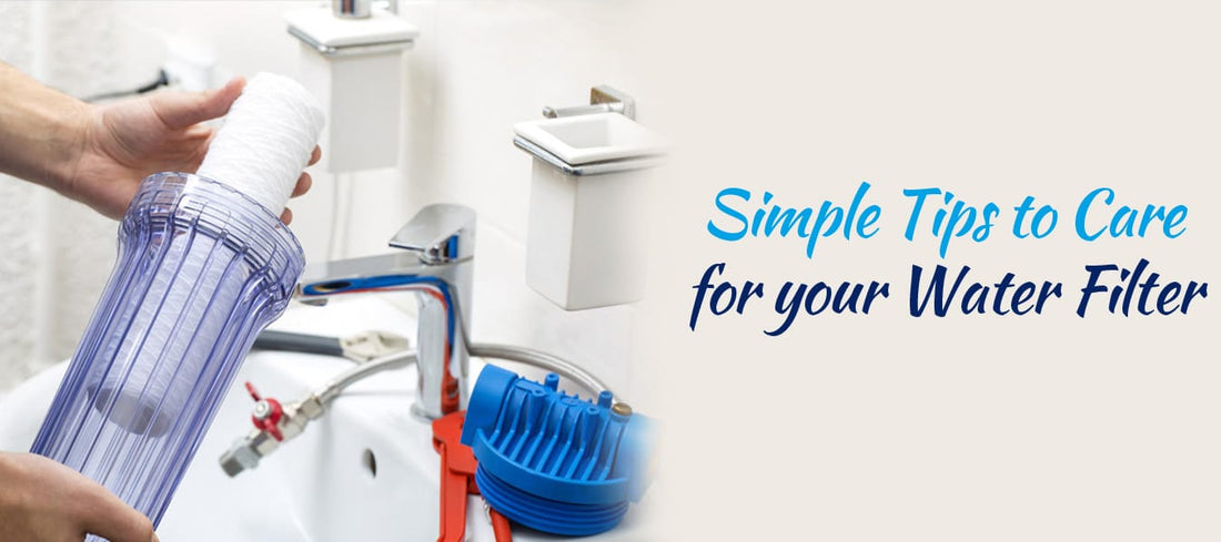 Maintain Your Water Purifier with These Tips | CWS